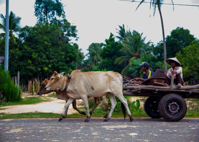 Séjour chez l'habitant Chansor 5 By Siem Reap Homesteading