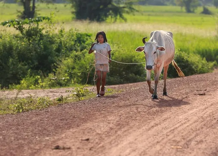 Chansor 5 By Siem Reap Homesteading