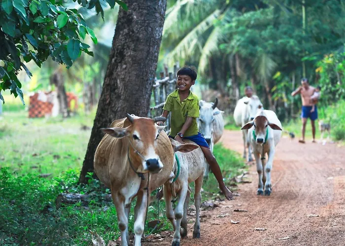 Séjour chez l'habitant Chansor 5 By Siem Reap Homesteading *