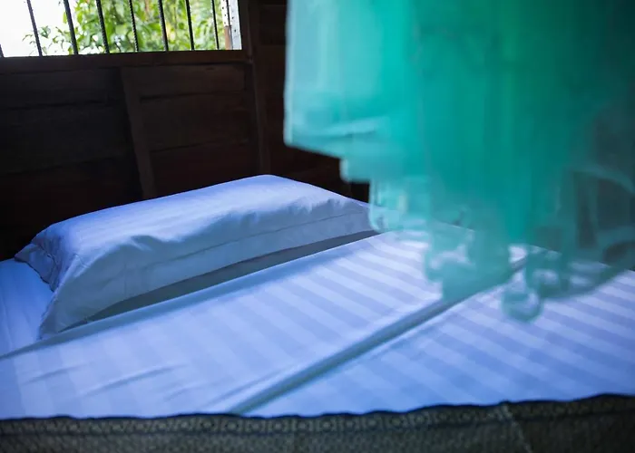 Chansor 5 By Siem Reap Homesteading Séjour chez l'habitant Phumi Trach Pok