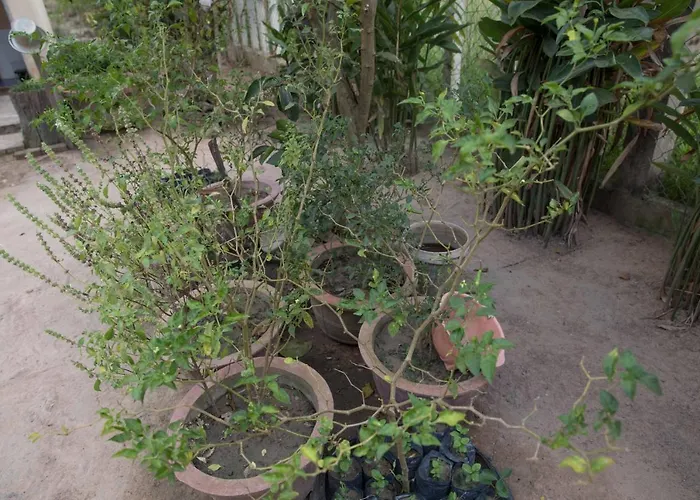 Chansor 5 By Siem Reap Homesteading Séjour chez l'habitant Phumi Trach Pok