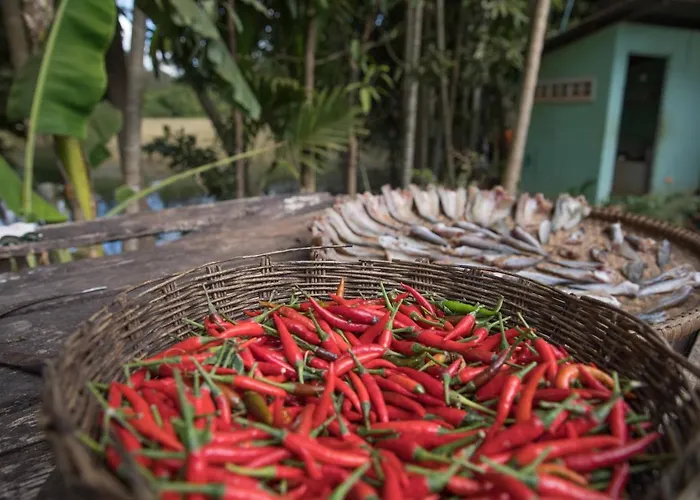 Séjour chez l'habitant Chansor 5 By Siem Reap Homesteading *