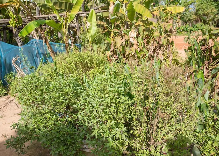 Séjour chez l'habitant Chansor 5 By Siem Reap Homesteading *